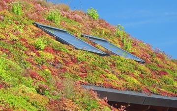 Swarland living roof systems