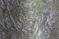 Swarland fibreglass roof work